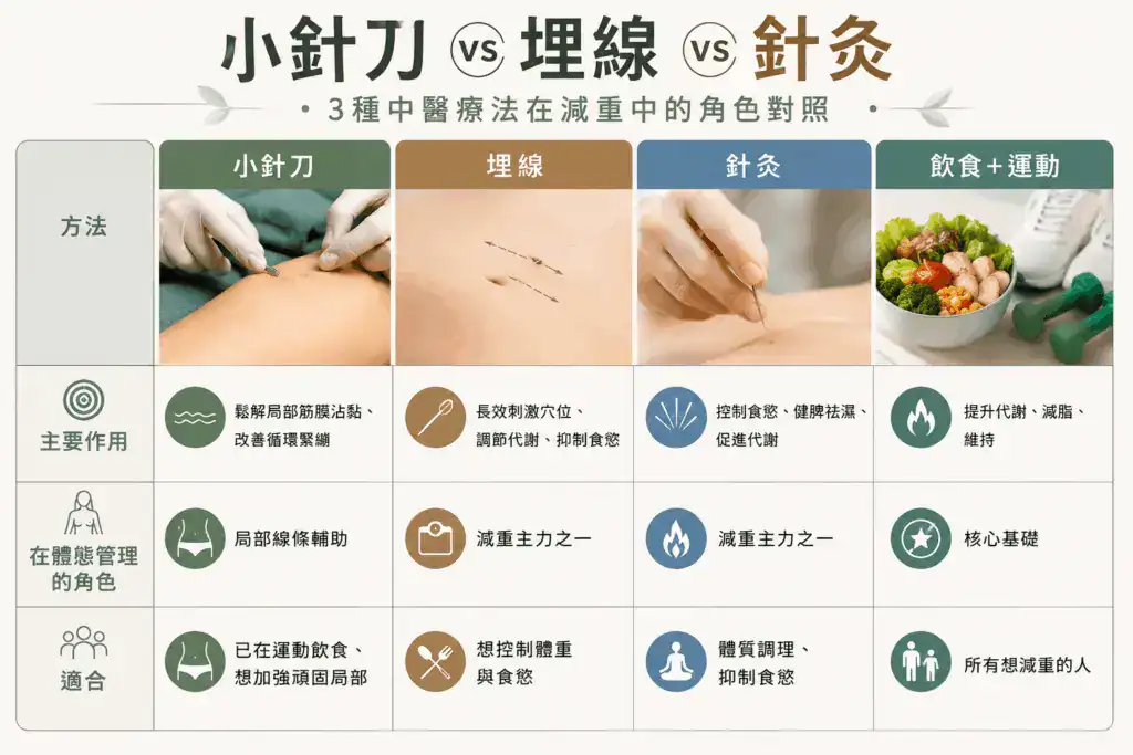 減肥方法比較：小針刀 vs 埋線 vs 針灸